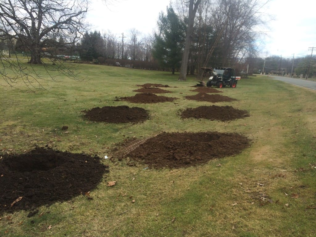 Tree Planting at the Brooklake Country Club in Florham Park NJ